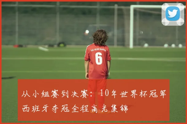 从小组赛到决赛：10年世界杯冠军西班牙夺冠全程高光集锦